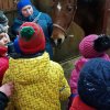 05.03.19 "Солнечный остров"
