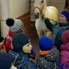 05.03.19 "Солнечный остров"